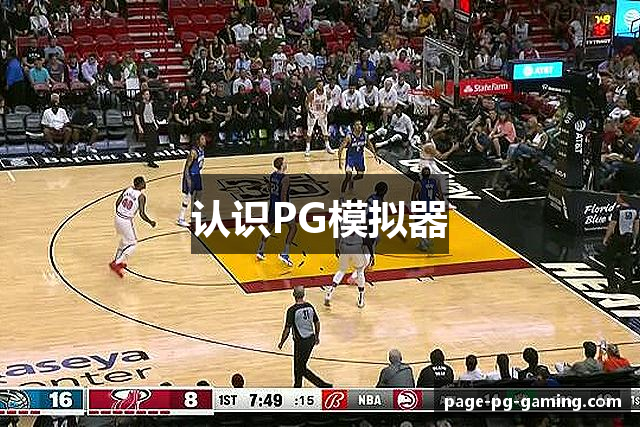 认识PG模拟器